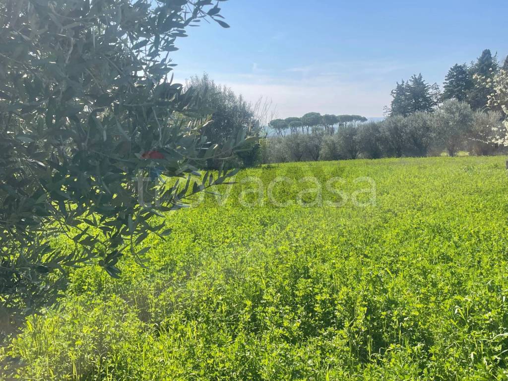 immagine annuncio 6 di 7