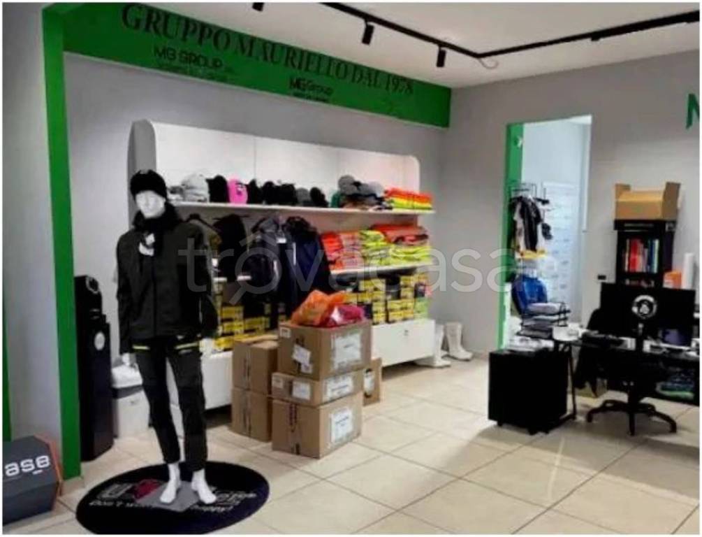 immagine annuncio 2 di 12