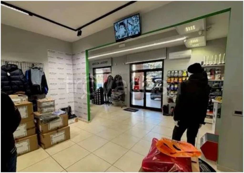 immagine annuncio 3 di 12