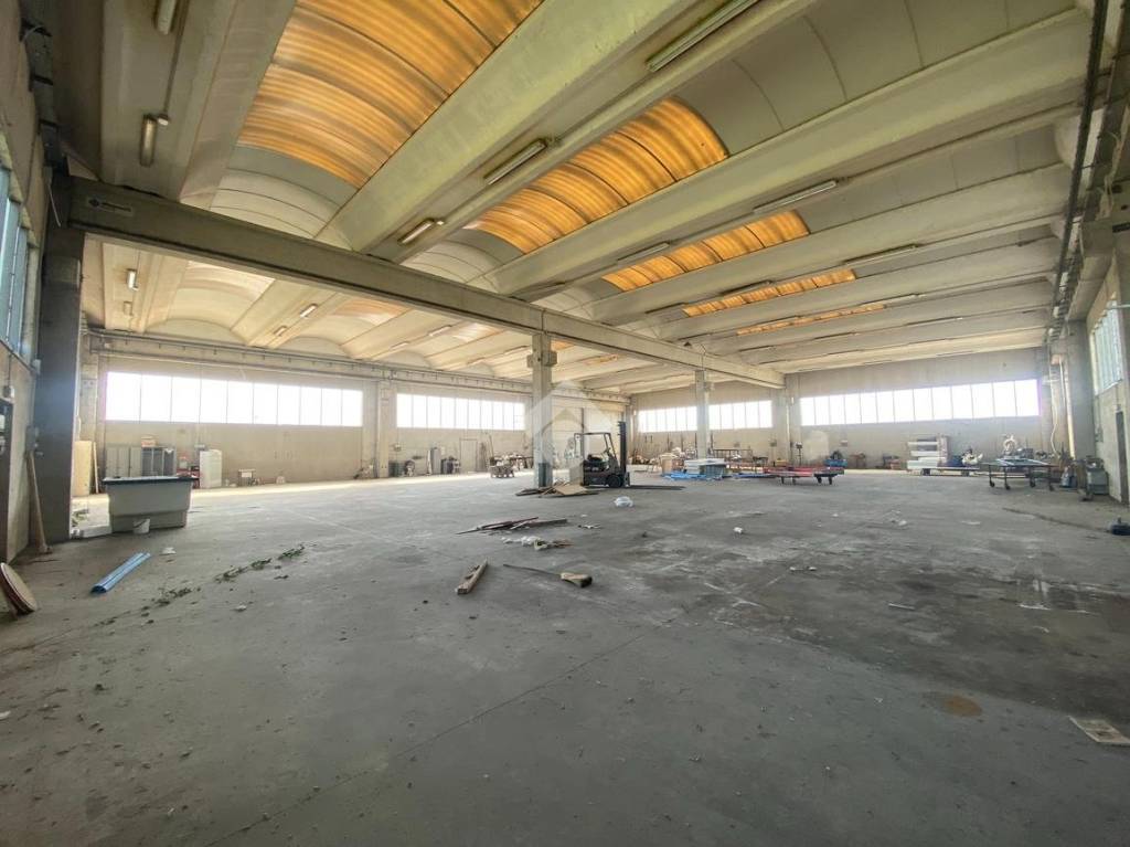 immagine annuncio 3 di 10