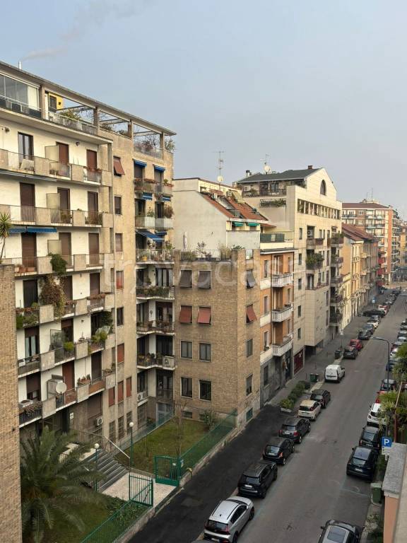 immagine annuncio 3 di 9