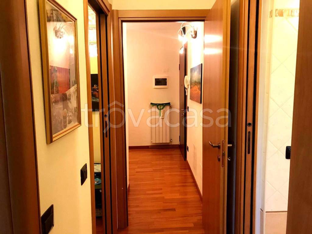 immagine annuncio 6 di 12