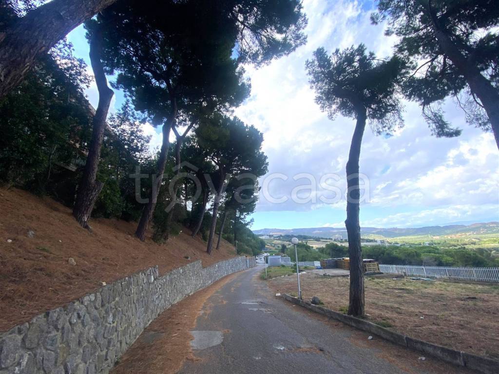 immagine annuncio 7 di 8