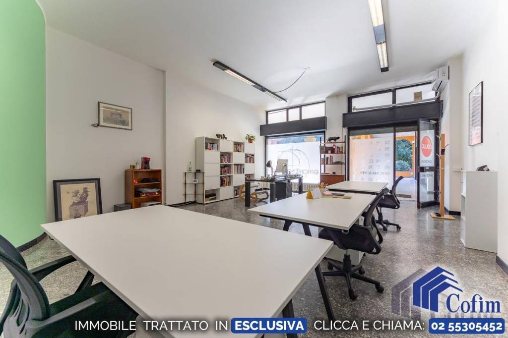 immagine annuncio 3 di 13