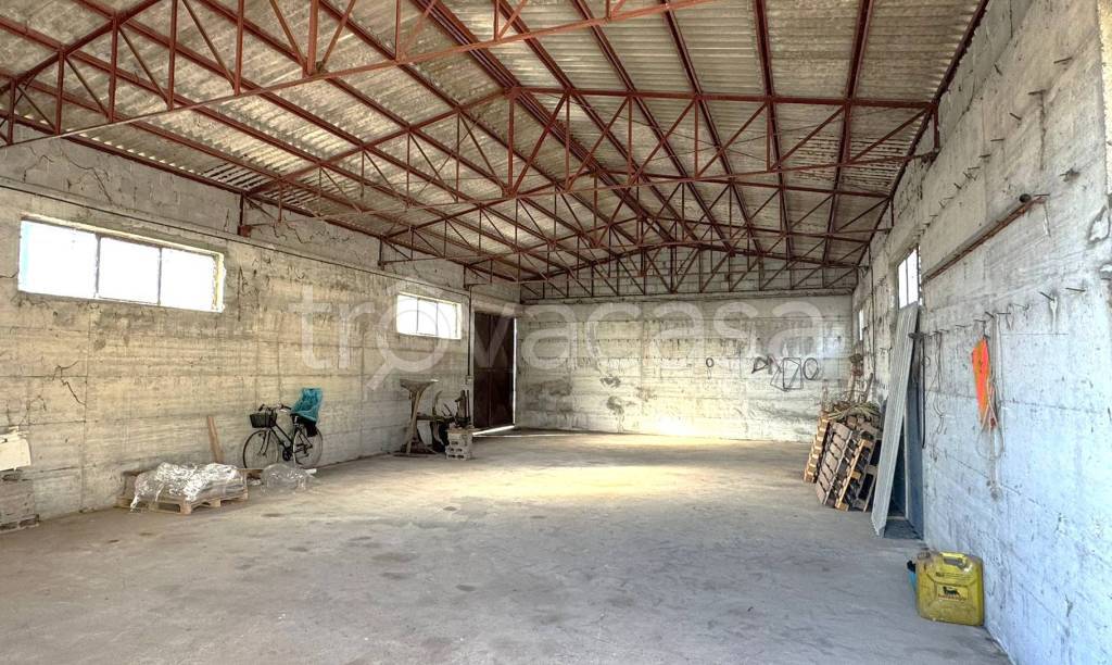 immagine annuncio 2 di 8