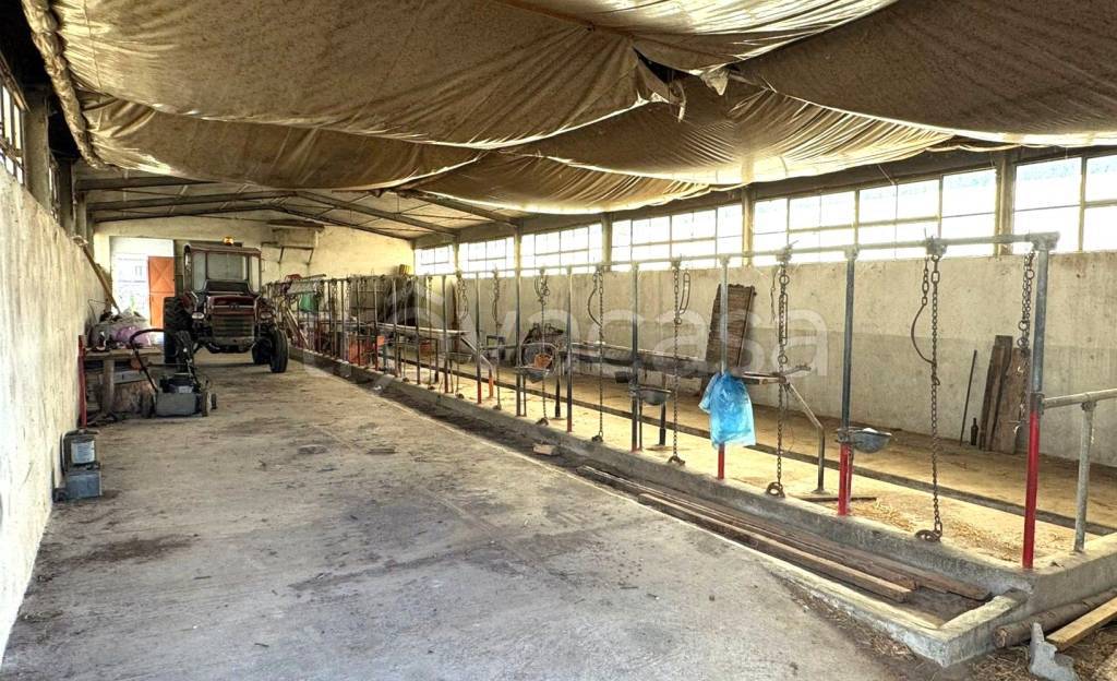 immagine annuncio 3 di 8