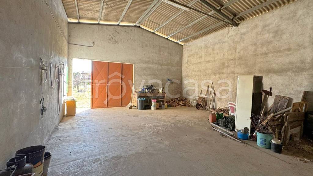 immagine annuncio 5 di 8