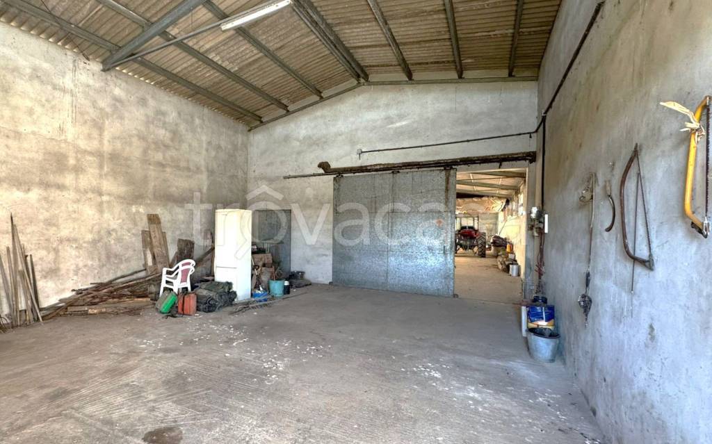 immagine annuncio 6 di 8