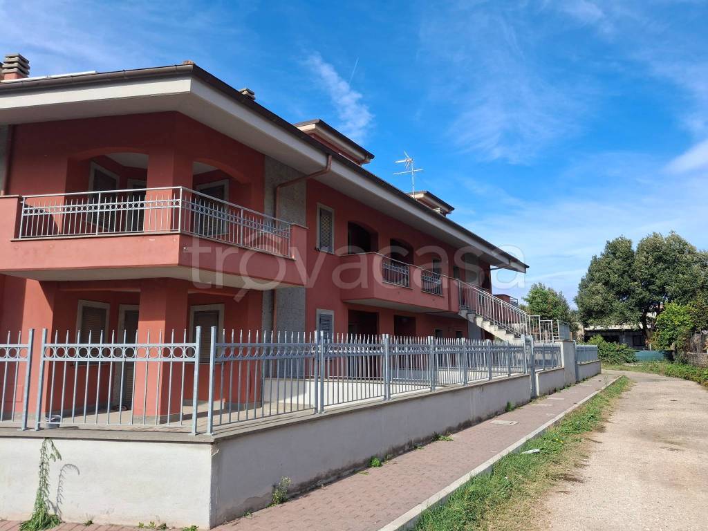 immagine annuncio 5 di 15