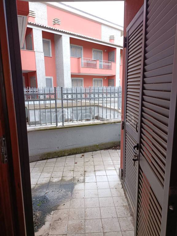 immagine annuncio 4 di 13