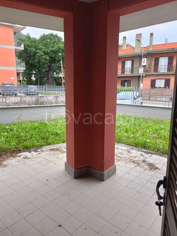 immagine annuncio 2 di 9