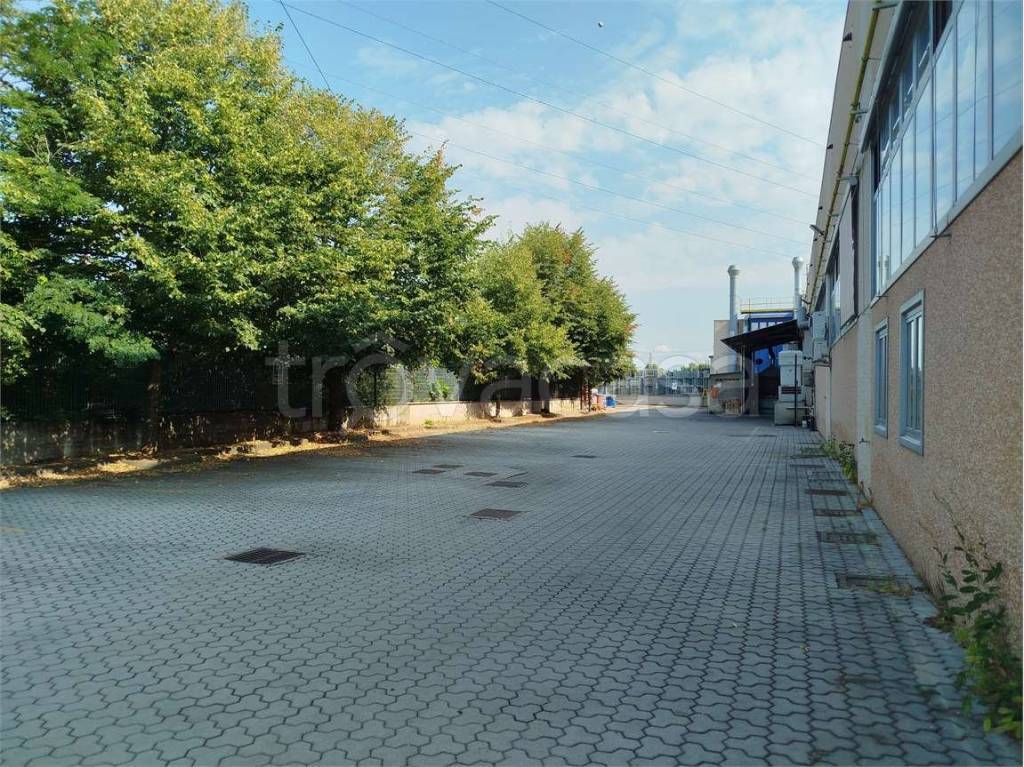 immagine annuncio 4 di 15