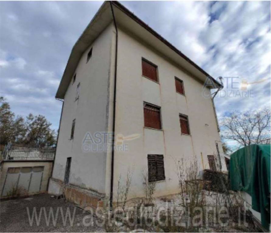 immagine annuncio 3 di 11