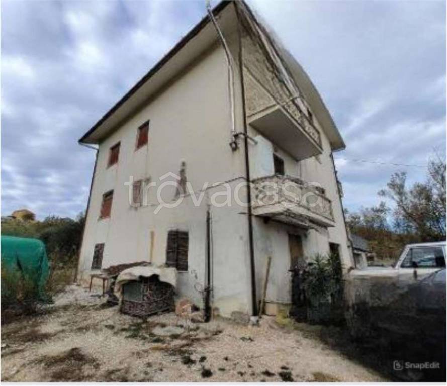 immagine annuncio 6 di 11