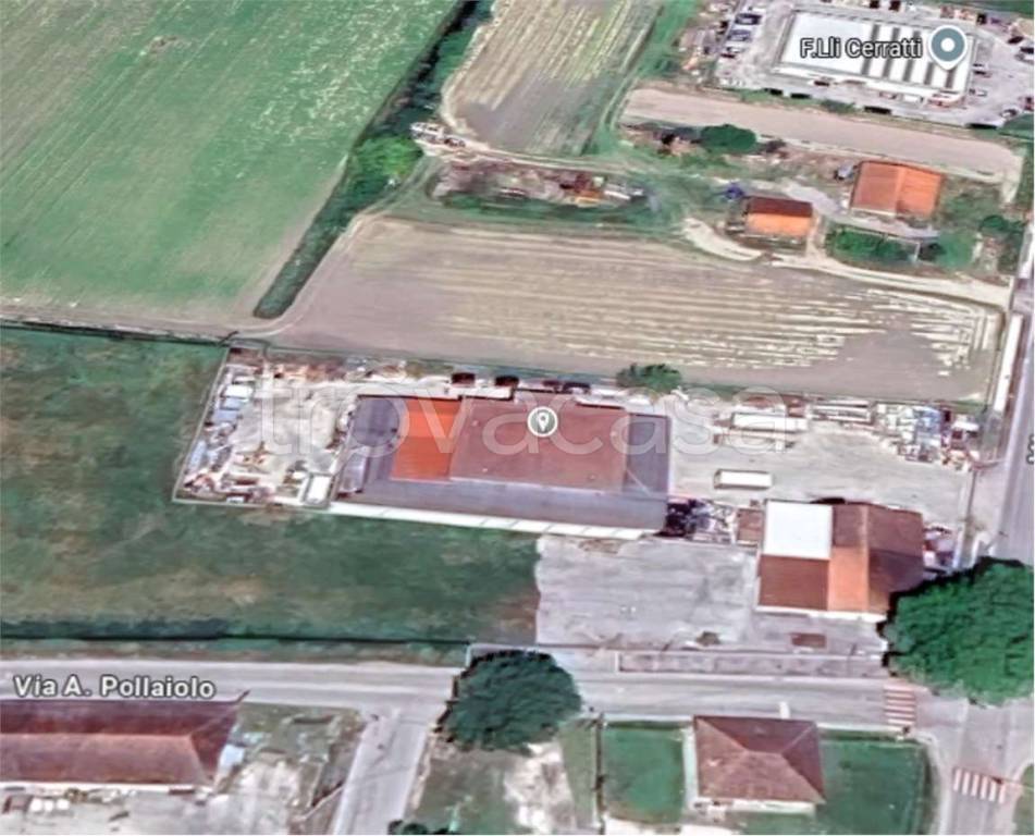 immagine annuncio 12 di 15