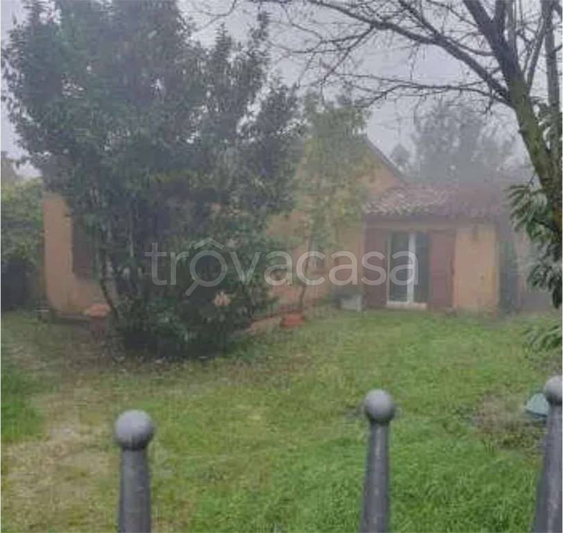 immagine annuncio 4 di 14