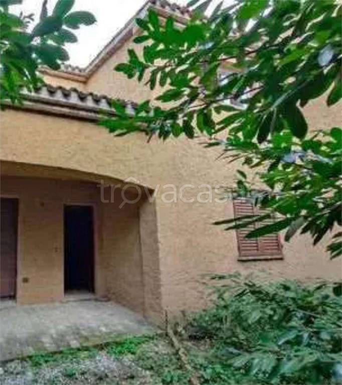 immagine annuncio 8 di 14