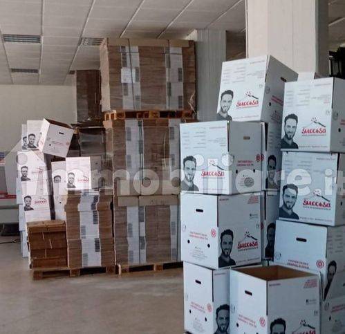 immagine annuncio 3 di 11