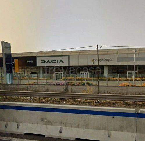 immagine annuncio 2 di 8