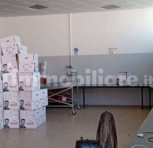 immagine annuncio 6 di 11