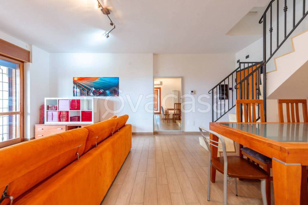 immagine annuncio 9 di 15