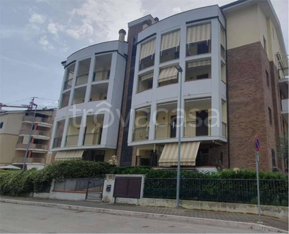 immagine annuncio 1 di 12