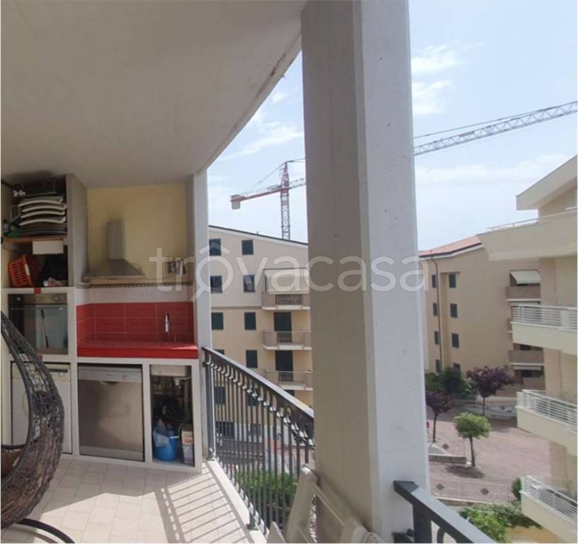 immagine annuncio 4 di 12