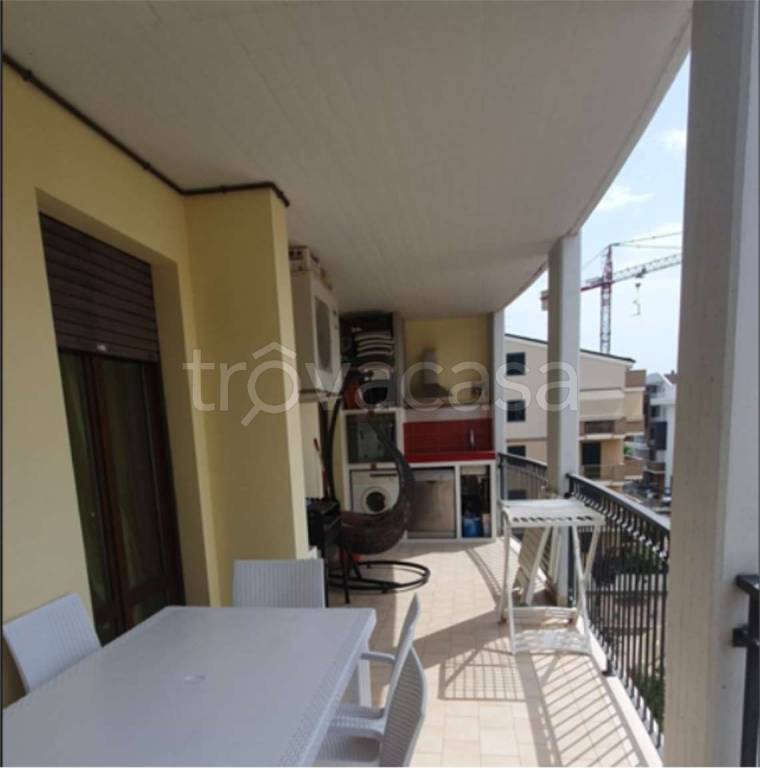 immagine annuncio 9 di 12