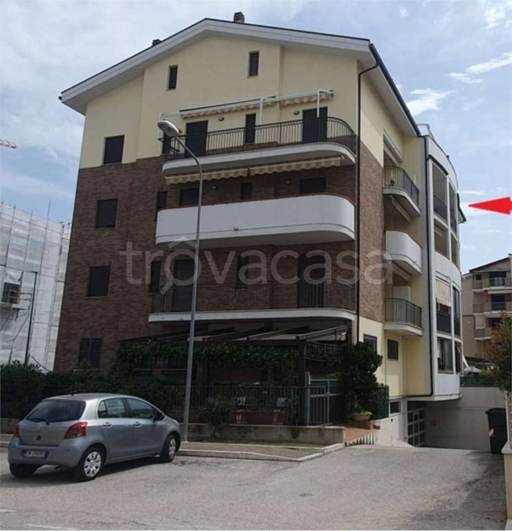 immagine annuncio 11 di 12