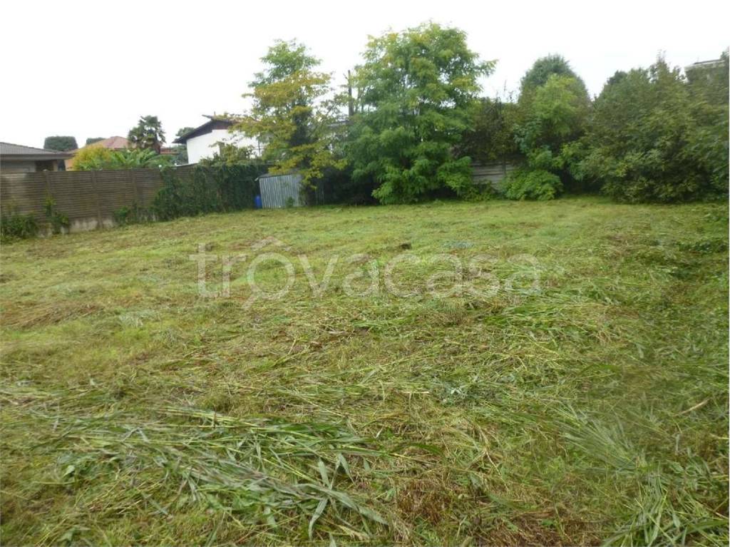 immagine annuncio 1 di 8