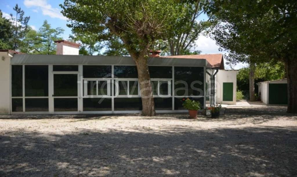 immagine annuncio 5 di 7