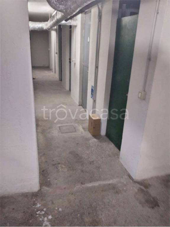 immagine annuncio 9 di 12