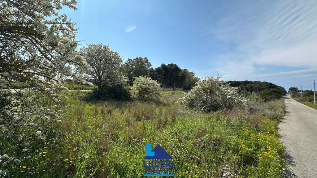 immagine annuncio 2 di 6