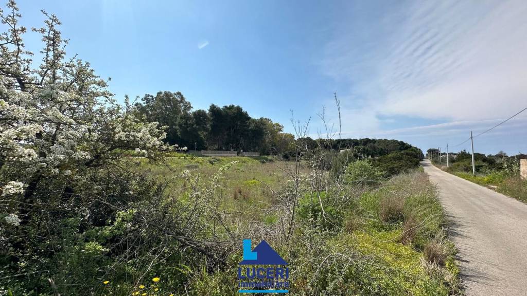 immagine annuncio 3 di 6