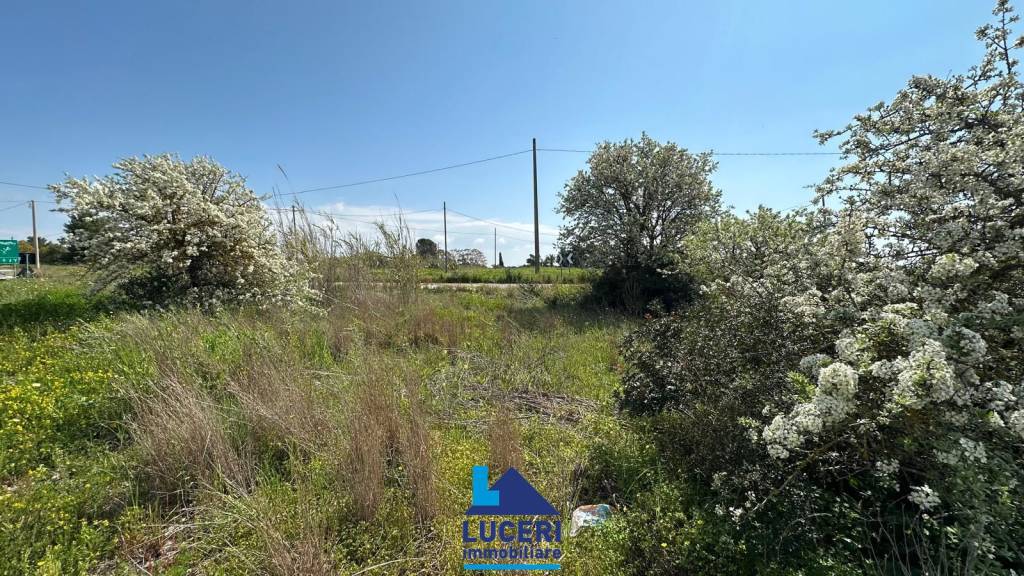 immagine annuncio 4 di 6