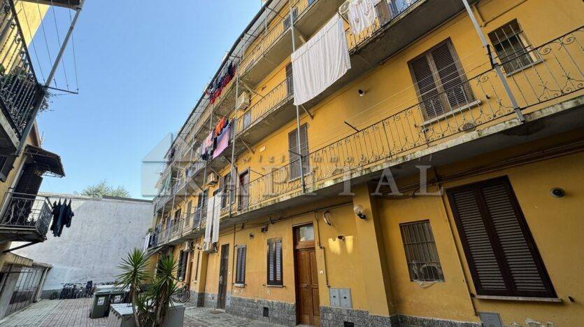 immagine annuncio 1 di 14