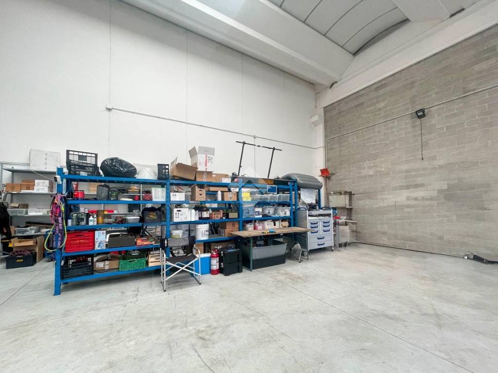 immagine annuncio 9 di 15