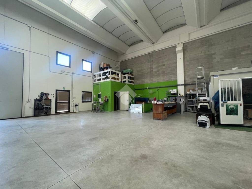 immagine annuncio 11 di 15