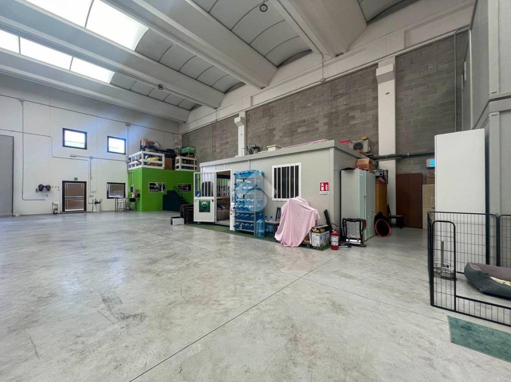 immagine annuncio 13 di 15