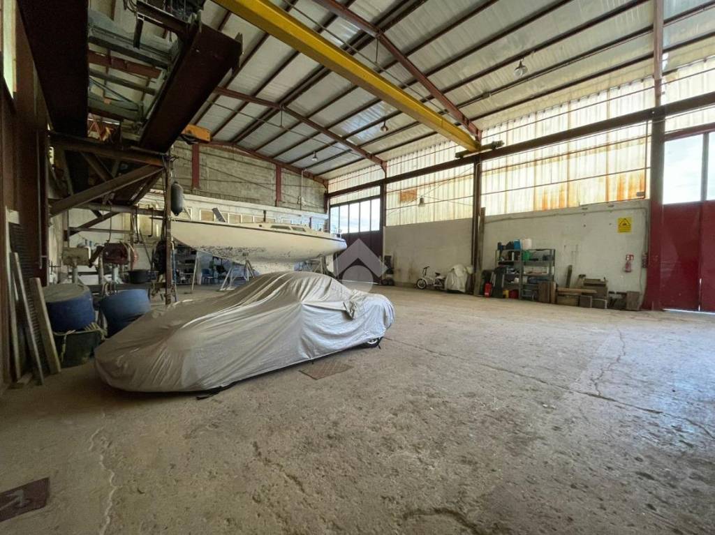 immagine annuncio 3 di 15