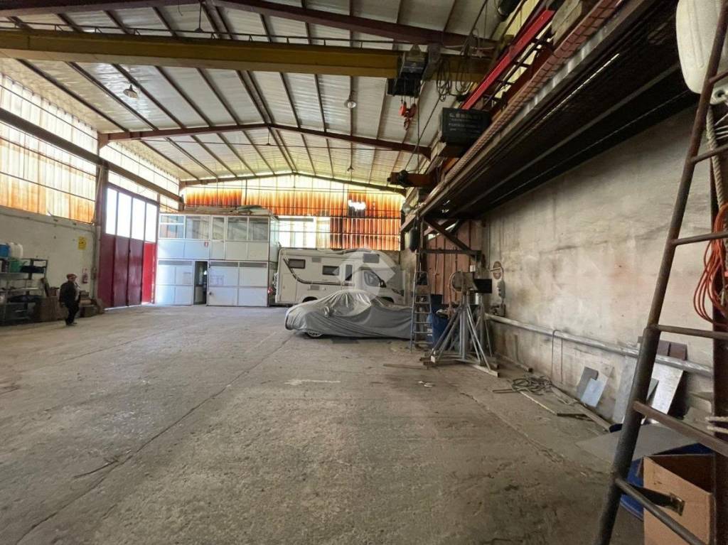 immagine annuncio 9 di 15