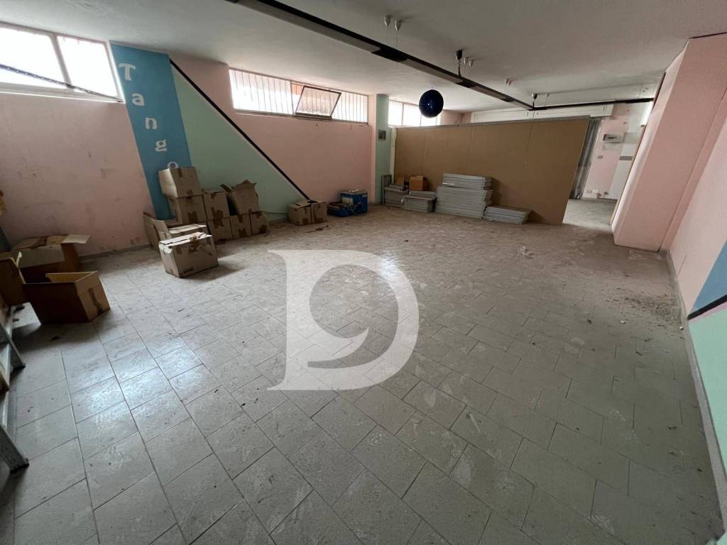 immagine annuncio 5 di 14