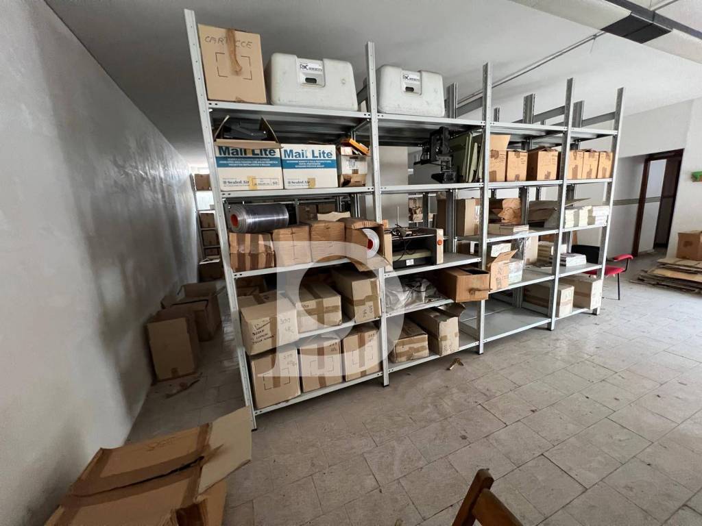 immagine annuncio 6 di 14