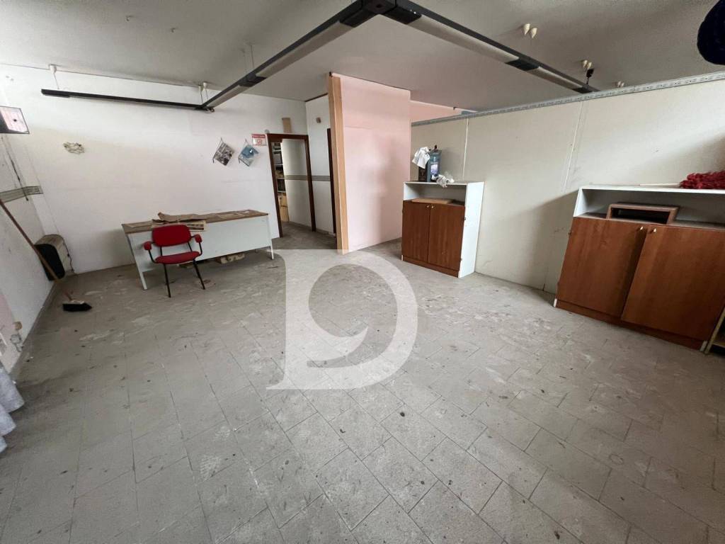 immagine annuncio 7 di 14