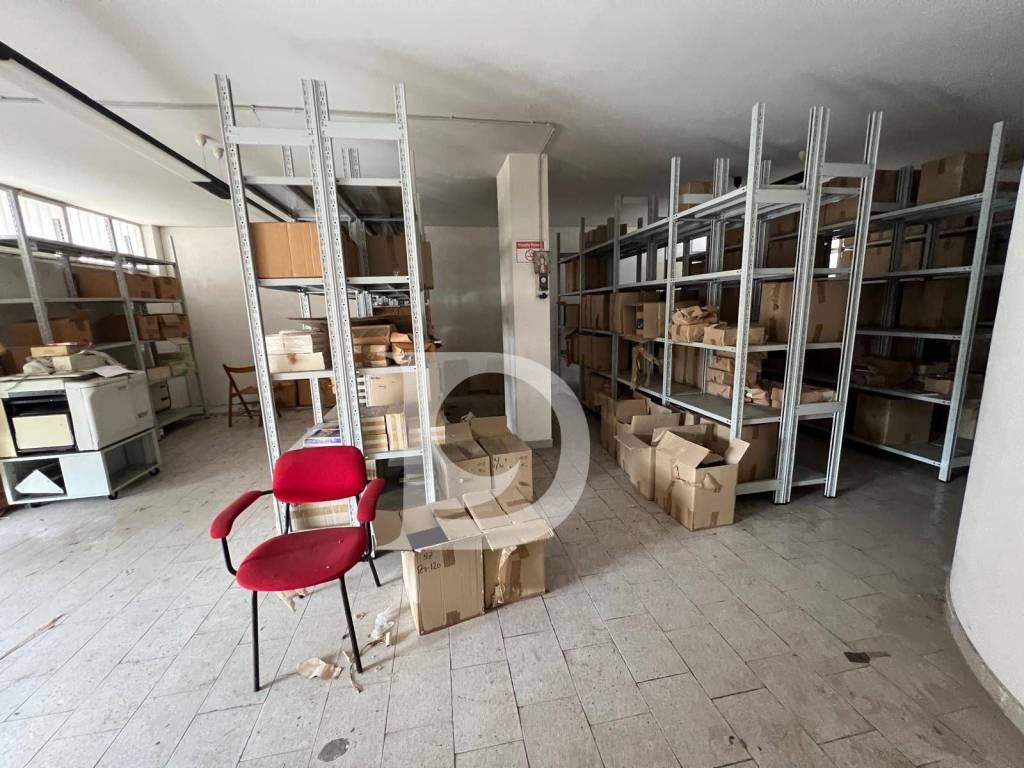 immagine annuncio 11 di 14