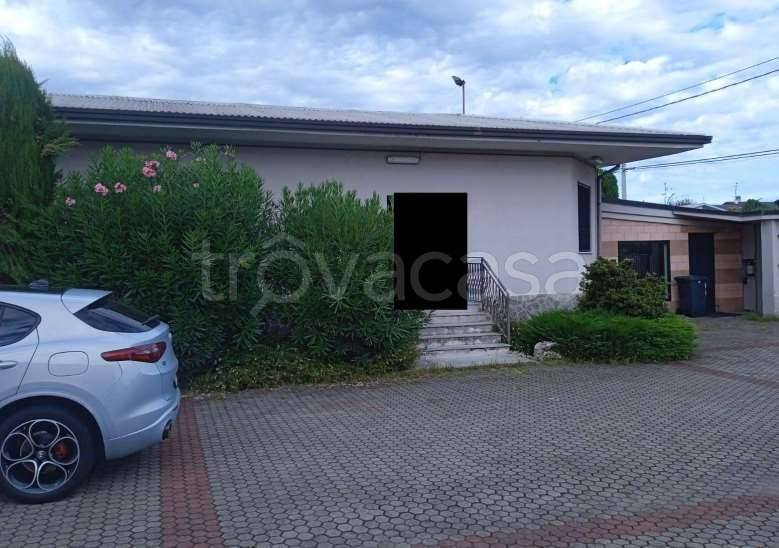 immagine annuncio 3 di 13