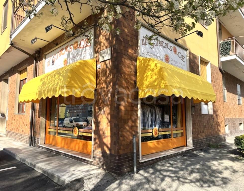 immagine annuncio 4 di 7