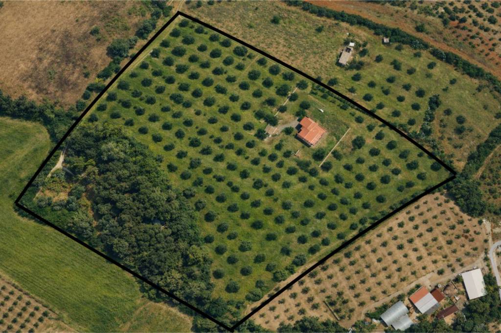 immagine annuncio 11 di 12