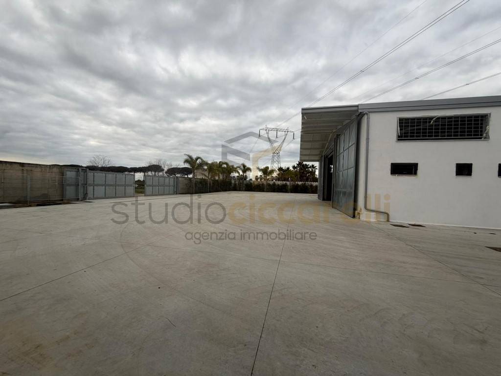 immagine annuncio 9 di 15