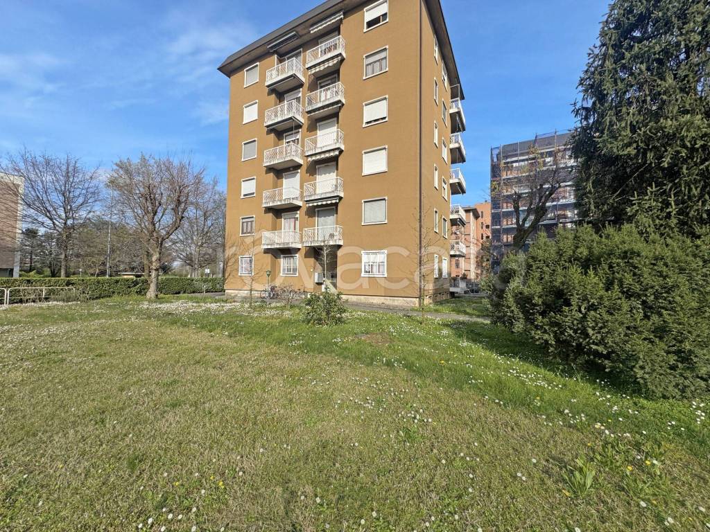 immagine annuncio 12 di 15